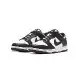 Nike Dunk Low WHITE BLACK 黑白 熊貓 休閒鞋 男鞋 DD1391-100