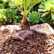 Southwest Boulder and Stone Bulk Landscape Rocks 5-Cu-Ftx1-2' Baja Cresta
