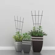 Sturdy Metal Potted Plant Trellis Great for Clematis Pothos and Philodendron