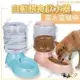 寵物餵食器 寵物飲水器 狗飲食器 狗碗 飼料盆 自動餵食器 自動飲水器 貓碗 寵物碗 現貨【512011】