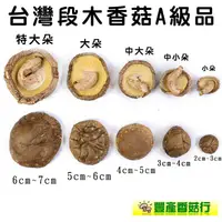 在飛比找蝦皮商城優惠--台灣段木香菇(四兩裝)A級品-又稱木頭菇、柴菇，原住民種植