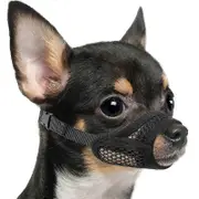 Mesh Muzzle For Short Snout And Small Medium Dogs Anti-Biting, Focus On Brachycephalic Dogs Like Chihuahua Pomeranian Black XS