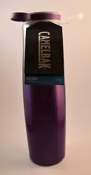 Camelbak Brook Vacuum Sealed Water Bottle Purple 20 Oz