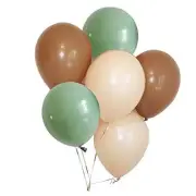 60PCS Sage Green Eucalyptus Avocado Blush Cream Tan Brown 10 Inch Balloon