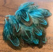 20pcs Natural Almond Aqua Blue Pheasant Feathers DIY Craft Millinery Jewellery