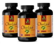 Cholesterol lowering diet - NATURAL OLIVE LEAF - Antioxidant blend 3B