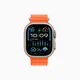 Apple Watch Ultra 2 49mm 鈦金屬錶殼搭配橘色海洋錶帶-GPS+行動網路版