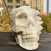 3.02LB Natural White Crystal Cluster Point Quartz Gemstone Carved Skull Healing