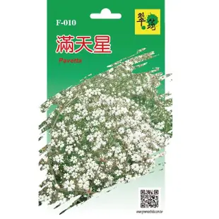 【翠筠用品】花卉種子A組