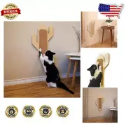 Cactus Scratcher Cat Furniture - Promotes Healthy Scratching for All Cats