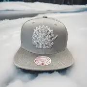 Toronto Raptors Hat Mitchell Ness Gray Metallic OSFM OG Snapback New H57