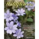 Wildflowers of the Eastern United States: An Introduction to Common Species of Woods, Wetlands and Fields