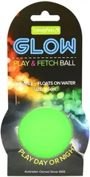 Glow in The Dark Fetch Ball Dog Toy, 6 cm Size