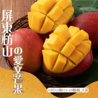 在飛比找momo購物網優惠-【禾鴻】屏東枋山山頂上的愛文芒果10斤x2箱(12-16顆/