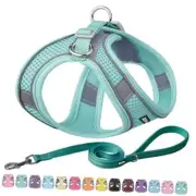 Summer Step in Dog Harness and Leash Set - M(Chest: 16 - 18") Pure Turquoise