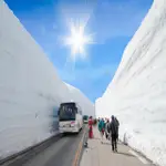 【喜鴻假期】【北陸雪大谷．賞花三重奏７日】立山黑部、童話合掌村、上高地秘境美景、庄川遊船、松本城