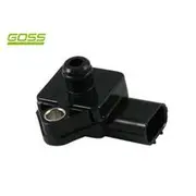 RAE MAP Sensor - MP137