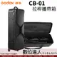 Godox 神牛 CB-01 QT600 3燈組適用 拉桿攜帶箱 便攜包