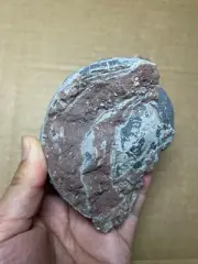 570g Egg Shell stone specimen