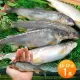 【築地一番鮮】宜蘭帶卵小香魚1盒(11-17尾裝/920g/盒)