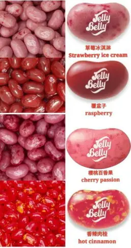 嘗甜頭 Jelly Belly 美國雷根糖熟女紅系列 100克 紅石榴 櫻桃 覆盆子 蔓越莓 香辣肉桂 紅蘋果