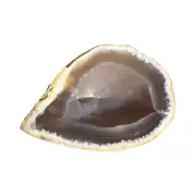 Natural Botryoidal Agate Geode - A