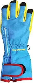 [North Peak] Gloves, Skiing, Playing in The Snow, Kids, Juniors, Kids