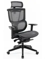 [OOS Living] Eason High Back Full Mesh Seat Full Adjustable Ergonomic Office Chair In Black