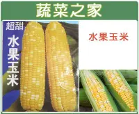 在飛比找Yahoo!奇摩拍賣優惠-【蔬菜之家滿額免運】G08.水果玉米種子20顆(F1.黃白雙