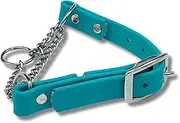 JIM HODGES DOG TRAINING Martingale Collar for Dogs, Biothane, Stainless Steel Hardware, No Pull, Made in The USA, Professional Grade, XXS, Teal