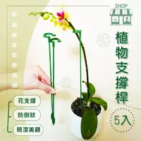 在飛比找momo購物網優惠-【園藝用品】植物支撐桿-5入(花卉 固定架 爬藤 園藝支撐桿