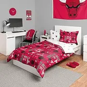 FOCO Chicago Bulls NBA Team Color Bed in a Bag Comforter Bedding 5 Piece Set - Twin