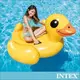 【INTEX】黃色小鴨水上坐騎147x147x81cm 適用3歲以上 15130350(57556)