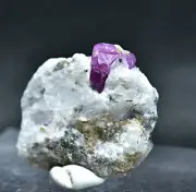 Natural Ruby Crystals w/ Pyrite and Mica On Matrix @ Jegdalek Afghanistan 91 CT