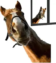 Yulokdwi Realistic Horse Wall Stickers - Wild Horse Stickers Window Decals | Farm Animal Window Decals, Peel & Stick Removable Sticker, Funny Horse Wall Stickers for Bedroom