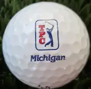 TPC Michigan Titleist ProV1 logo ball new #10773