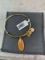 Alex And Ani Youth Bracelet NWT Never Worn