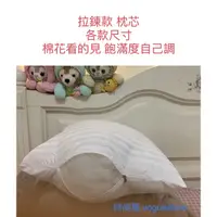 在飛比找蝦皮購物優惠-[ 時尚屋 抱枕工廠 ] 枕心 枕芯 抱枕 拉鍊枕心 動漫枕