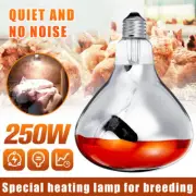 250W Reptiles Heating Light Lamp Waterproof for Cultivation Lamb Ducks Breeding