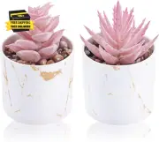 Set of 2 Succulents Plants Artificial Mini Fake Succulents Plants for Office Des
