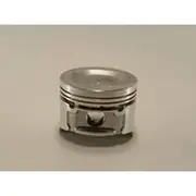Austral Piston Set - PO1208 020