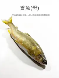 在飛比找Yahoo!奇摩拍賣優惠-【魚仔海鮮】母香魚(5-6尾) 1000g 母香魚 台灣香魚