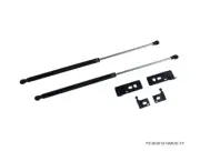 P2M Black Series Engine Hood Bonnet Dampers Set for Ford Mustang 10-14 S197 New