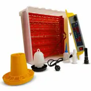 Electric Egg Incubator Digital For Chicken Quail Poultry Birds Eggs