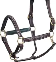 SIE Padded Leather Horse Halter with Brass Hardware and Raised Fancy Stitching
