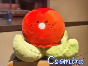 Love and deepspace Zayne Rafayel Xavier 15cm Plush Doll Pillow Plushie Toy