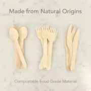 Disposable Wooden Spoon Fork Knives Cutlery Sets Eco Takeaway Compostable New