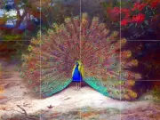 Art Peacock and Butterfly Ceramic Mural Backsplash Bath Tile #2109