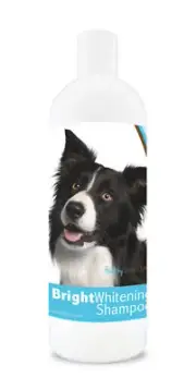 Healthy Breeds Border Collie Bright Whitening Shampoo 12 oz