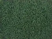 Seed Beads Japanese Matsuno Size9 (Code-25MA) Frosted Olive